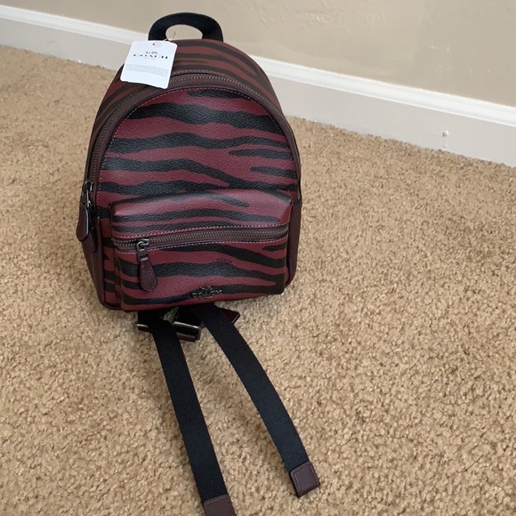 Coach - Picture 3 of 15